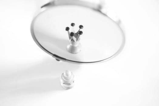 Transforming Perceptions: The Impact of Social Media on Escort Services